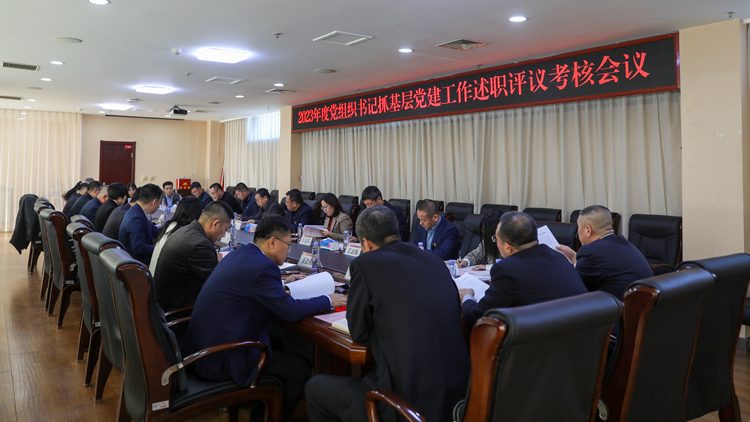 学校党委召开2023年度党组织书记抓基层党建工作述职评议考核会议