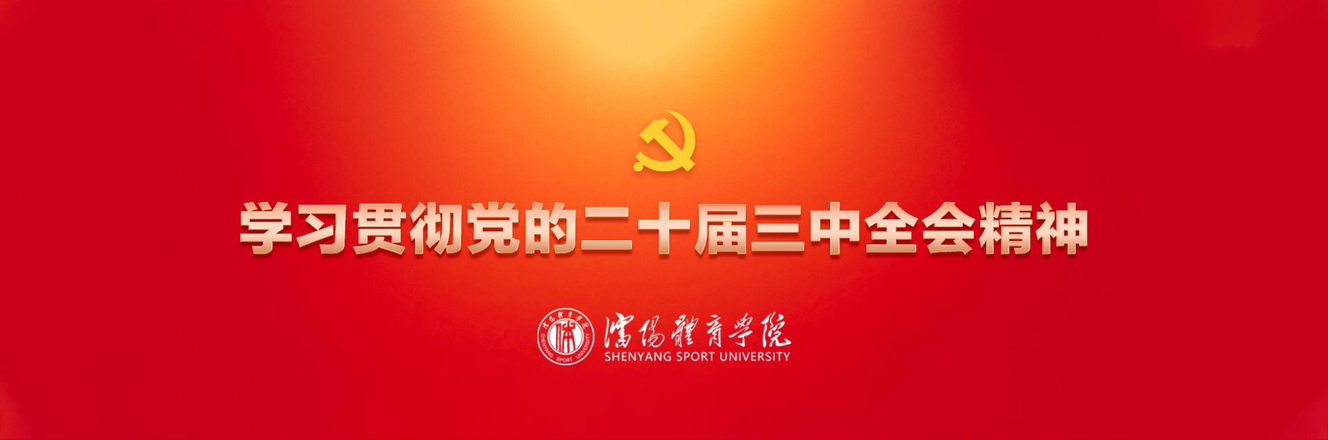 学习贯彻党的二十届三中全会精神