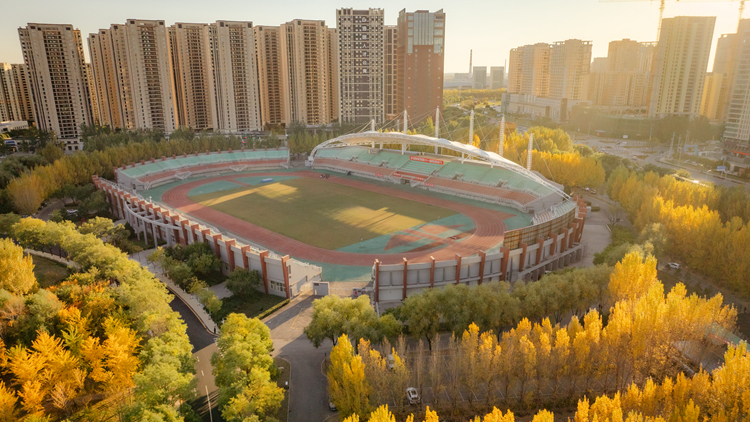 一封秋日来信——沈体秋景